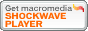 Shockwave Player